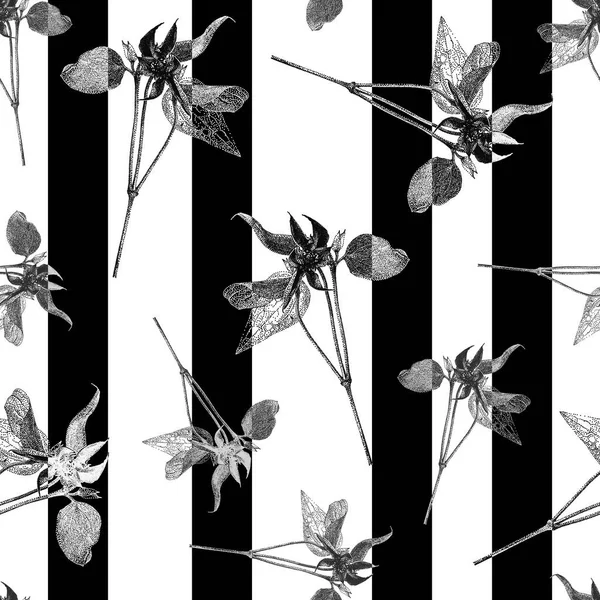 クレマチスの花と黒のストライプのシームレスなパターン ベクトル — ストックベクタ