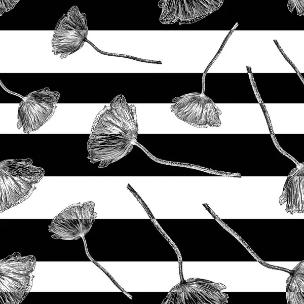Patrón sin costura vectorial con flor de amapola y rayas negras — Vector de stock