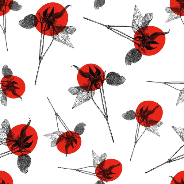 Motif vectoriel sans couture avec fleur Clematis rouge isolée sur fond blanc — Image vectorielle