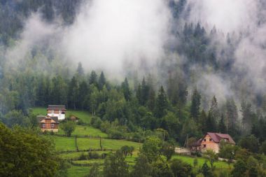 Yaz dağı manzarası