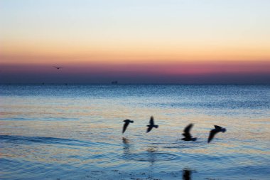 Şafakta sonbahar deniz manzarası