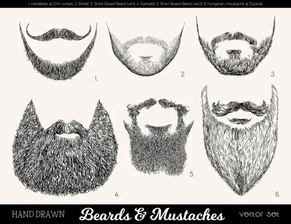 Conjunto de vetores com barbas e bigodes —  Vetores de Stock