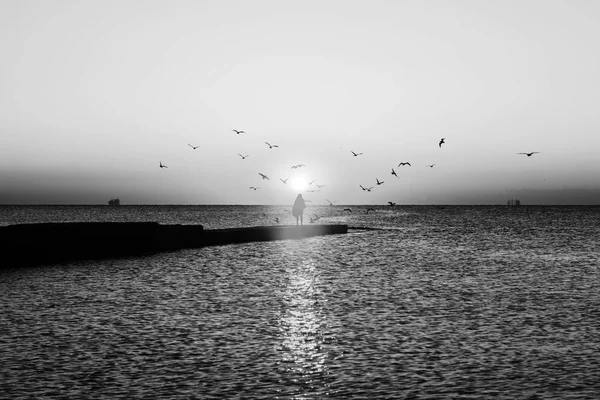 Paisagem Marinha Outono Amanhecer Silhueta Menina Cais Bando Gaivotas Voando — Fotografia de Stock