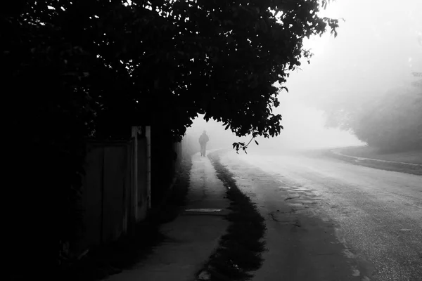 霧と田園風景 歩道を歩いている人のシルエット 早朝の空の田舎道 黒と白の写真 — ストック写真