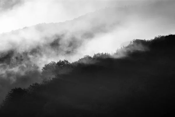 Raios Luz Nas Montanhas Paisagem Com Nevoeiro Pesado Floresta Iluminada — Fotografia de Stock