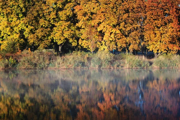 Herbstlandschaft Stadtpark Orangenbäume Flussufer Spiegeln Sich Wasser Wider Leichter Morgennebel — Stockfoto