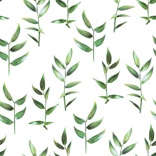 Seamless floral pattern with green leaves of ruscus on white — Stock Photo, Image