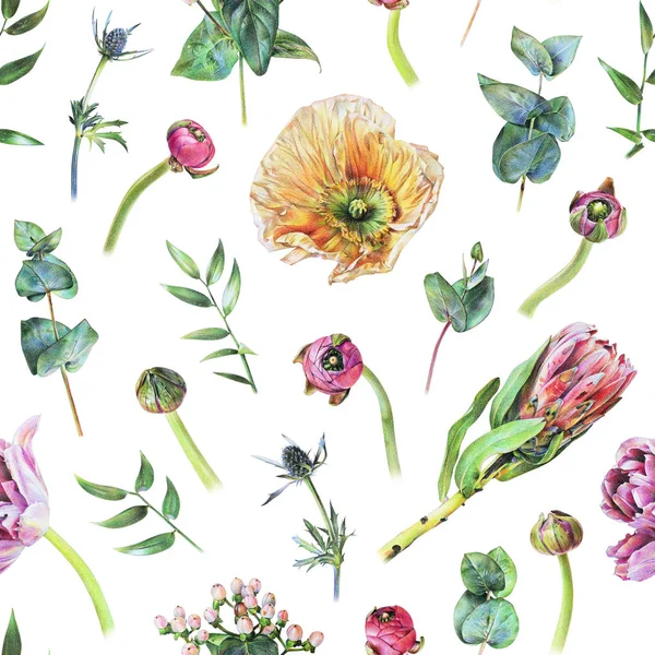 Nahtloses Blumenmuster mit Protea, Mohn, Eukalyptus und anderen Blättern und Pflanzen auf weißem Grund — Stockfoto