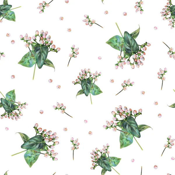 Seamless floral pattern with pink hypericum berries on white — Stock Photo, Image
