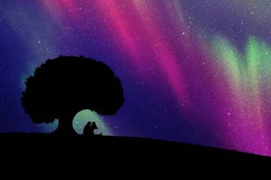  Sevenler gece ağacının altında