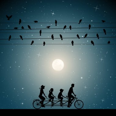  Family on bike tandem under birds on wires on moonlit night