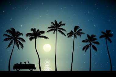  Palm Beach 'te ay ışığında Retro Car
