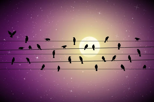 Birds on wires on moonlit night — 스톡 벡터