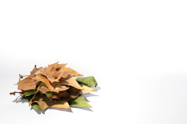 beyaz zemin üzerinde izole fındık karışımı