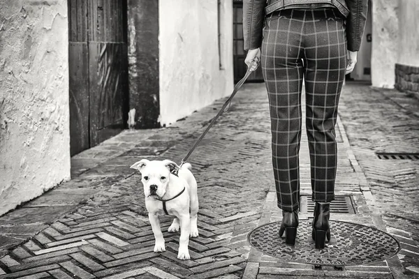 Köpek ile sarışın kız — Stok fotoğraf