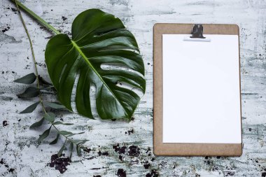 Pano bitki yaprak ile 