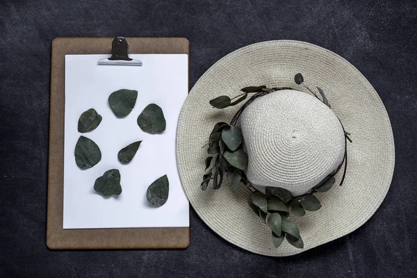 Clipboard with plant leaf and hat — Stock Photo, Image