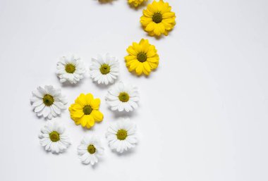 Çiçek desenli birkaç renkli çiçekli