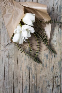 Kırmızı ve Beyaz Lale ile çiçek arka plan 