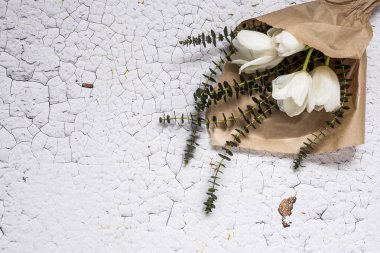 Kırmızı ve Beyaz Lale ile çiçek arka plan 