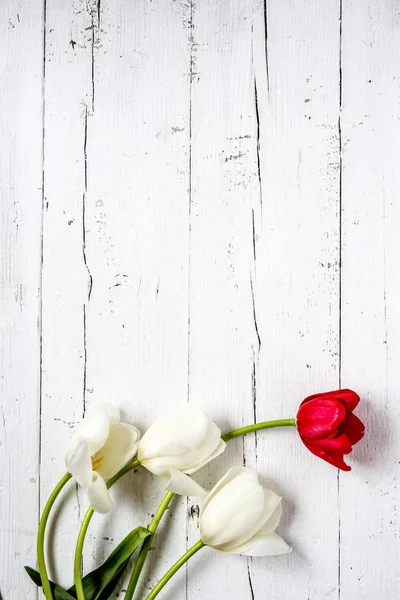 Цветочный фон с красными и белыми тюльпанами и ромашками — стоковое фото