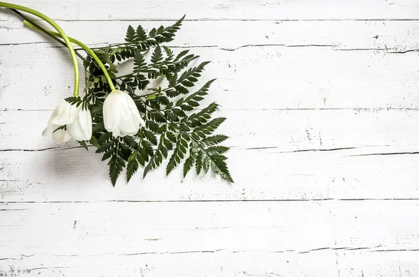 Fondo floreale con tulipani rossi e bianchi e margherite — Foto Stock