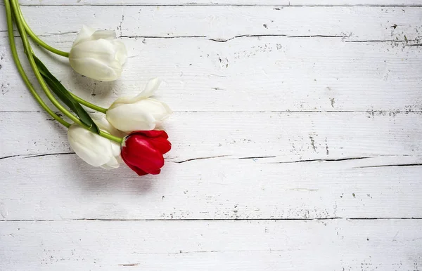 Fondo floral con tulipanes y margaritas rojas y blancas — Foto de Stock