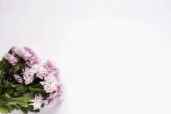 Modello floreale con diversi fiori colorati — Foto Stock