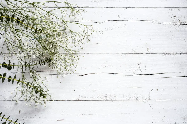 Fondo floral con tulipanes y margaritas rojas y blancas — Foto de Stock