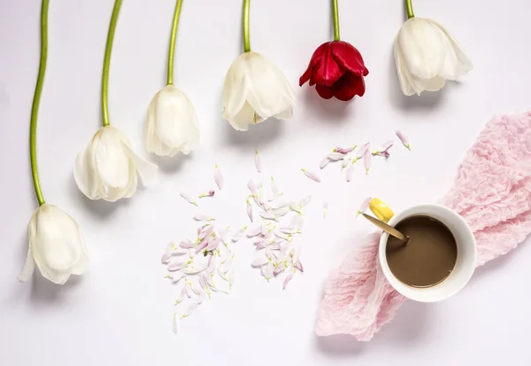 Fondo floral con tulipanes rojos y blancos y café — Foto de Stock