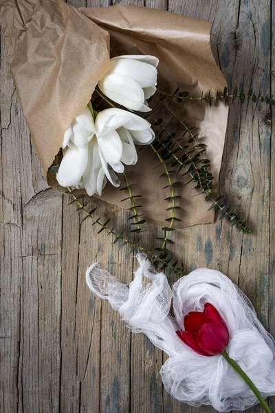 Blumenhintergrund mit roten und weißen Tulpen — Stockfoto