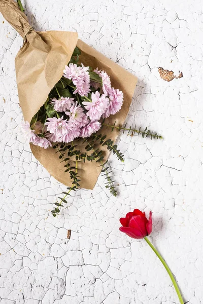 Fondo floral con tulipanes y margaritas rojas y blancas — Foto de Stock