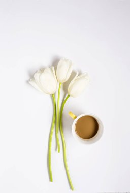 Kırmızı ve beyaz laleler ve kahve ile çiçek arka plan