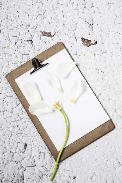 Schránka s květinami — Stock fotografie