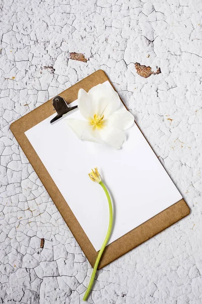 Schránka s květinami — Stock fotografie