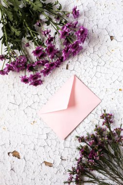 Çiçekler beyaz arka plan üzerinde. Düz yatıyordu, en iyi görünümü