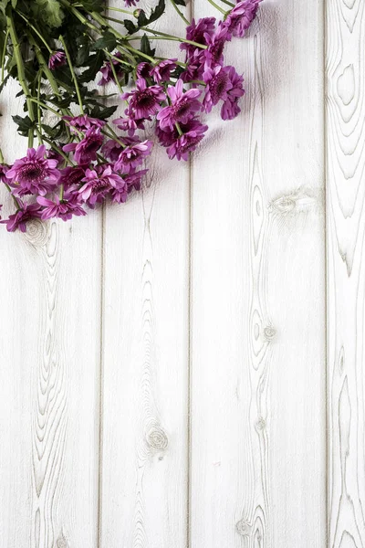 Flores sobre fondo blanco. Piso tendido, vista superior — Foto de Stock