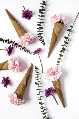 Çiçekler beyaz arka plan üzerinde. Düz yatıyordu, en iyi görünümü