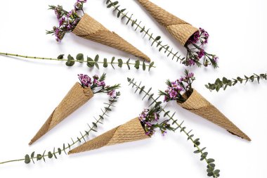 Çiçekler beyaz arka plan üzerinde. Düz yatıyordu, en iyi görünümü