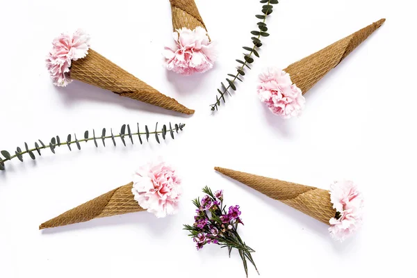 Blommor på vit bakgrund. Platt lekmanna, top view — Stockfoto