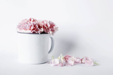 Beyaz arkaplanda çiçekler. 