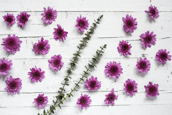 Λουλούδια σε άσπρο φόντο. Επίπεδη lay, κορυφαία προβολή — Φωτογραφία Αρχείου