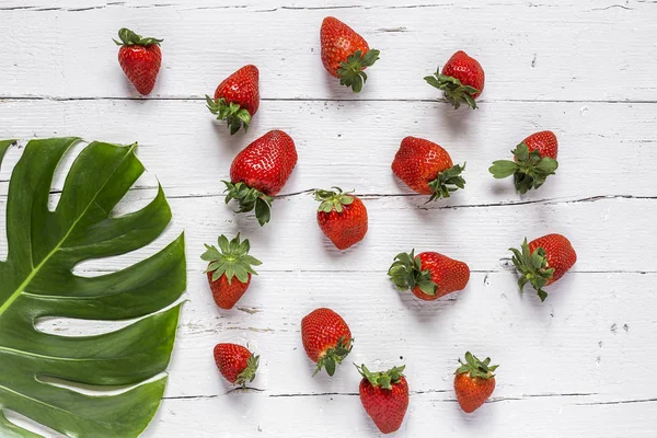 Mezcla de frutas frescas — Foto de Stock