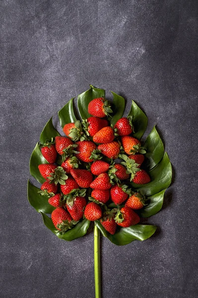 Mezcla de frutas frescas — Foto de Stock