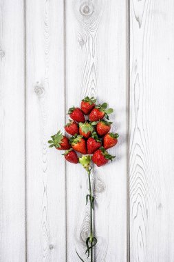 Taze meyve karışımı