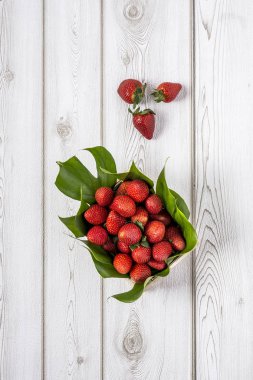 Taze meyve karışımı