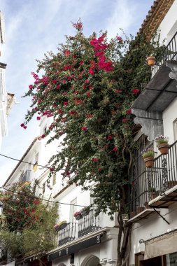 Sokakları, köşeler ve marbella ayrıntılarını. İspanya