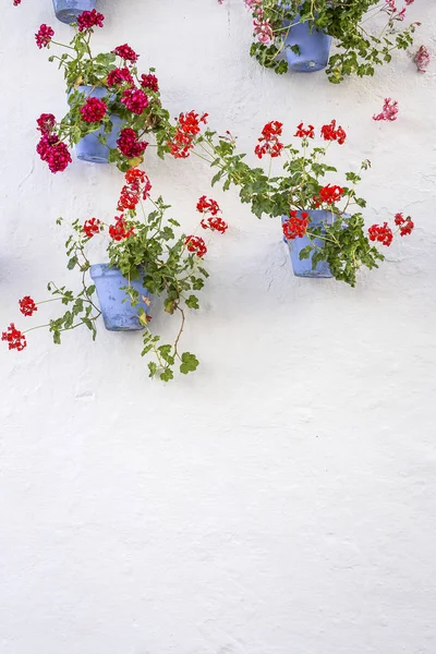 Calles, esquinas y detalles de la marbella.España — Foto de Stock