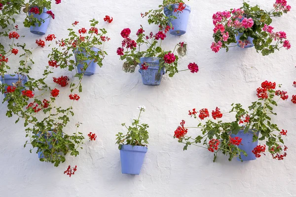 Sokakları, köşeler ve marbella ayrıntılarını. İspanya