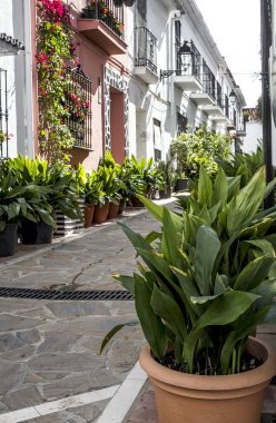 Sokakları, köşeler ve marbella ayrıntılarını. İspanya